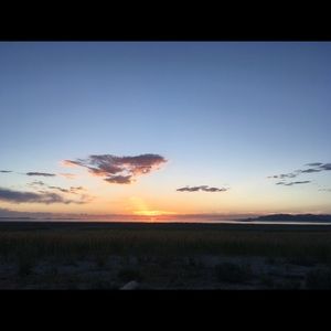 Meet your Posher, Desiree